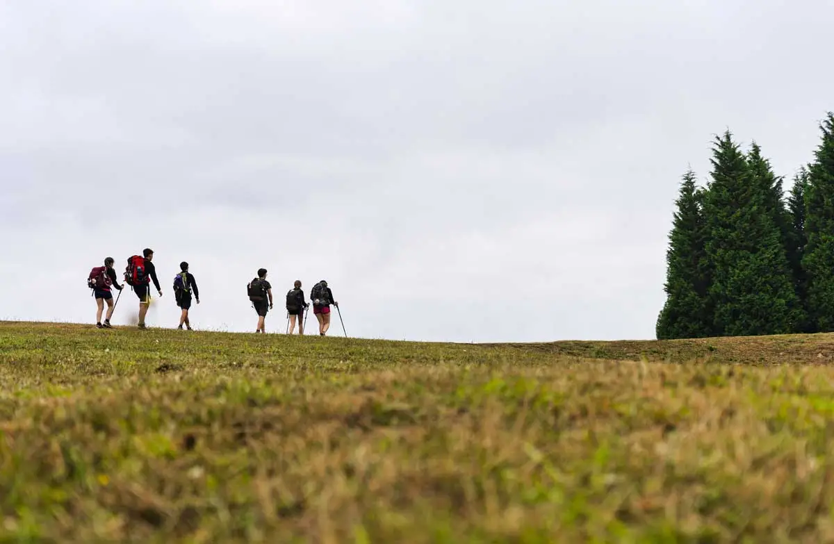Joining Jesus’ Mission: Our Call to Make Disciples